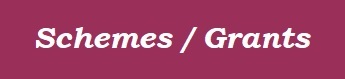 Arts Related Schemes / Grants Arts Related Schemes / Grants