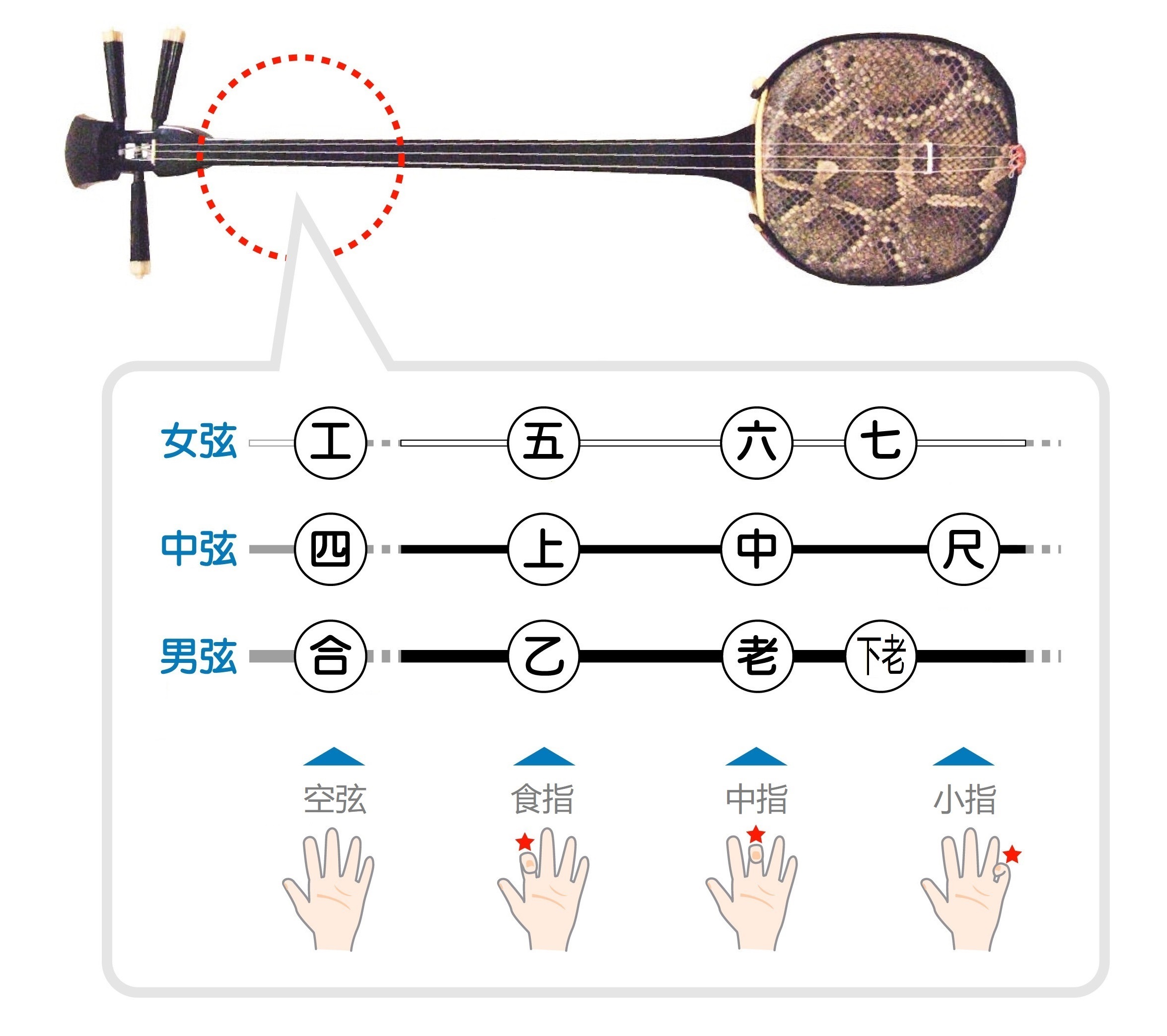 三線左手指法簡易圖解